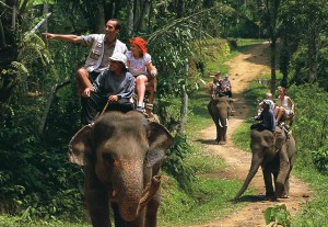 bali-elephant-ride